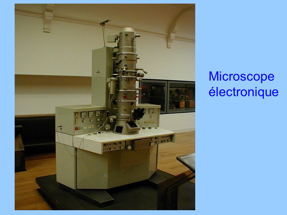 Microscope électronique