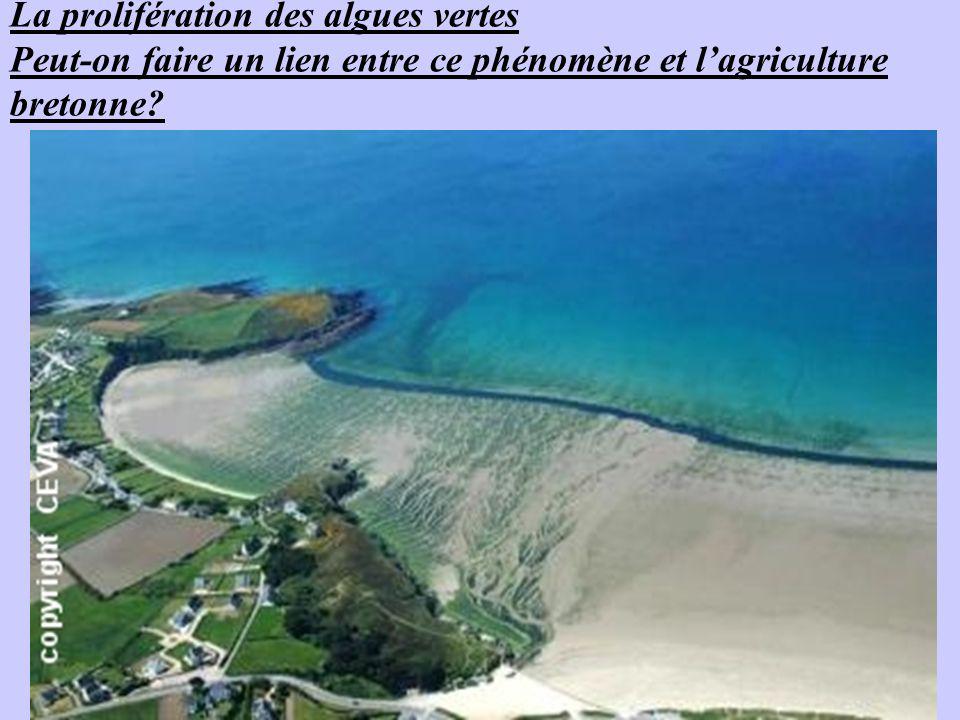 La prolifération des algues vertes Peut-on faire un lien entre ce phénomène et l’agriculture bretonne