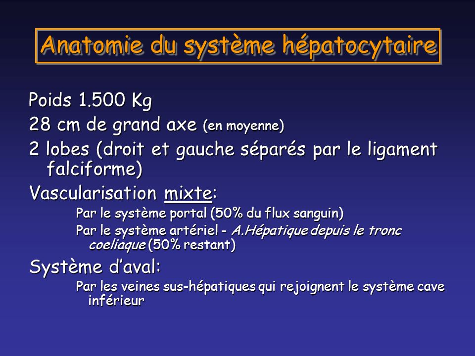 Anatomie du système hépatocytaire