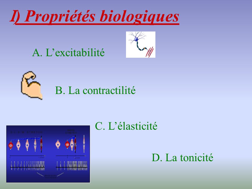 I) Propriétés biologiques
