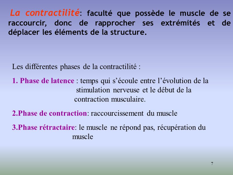 La contractilité: faculté que possède le muscle de se raccourcir, donc de rapprocher ses extrémités et de déplacer les éléments de la structure.