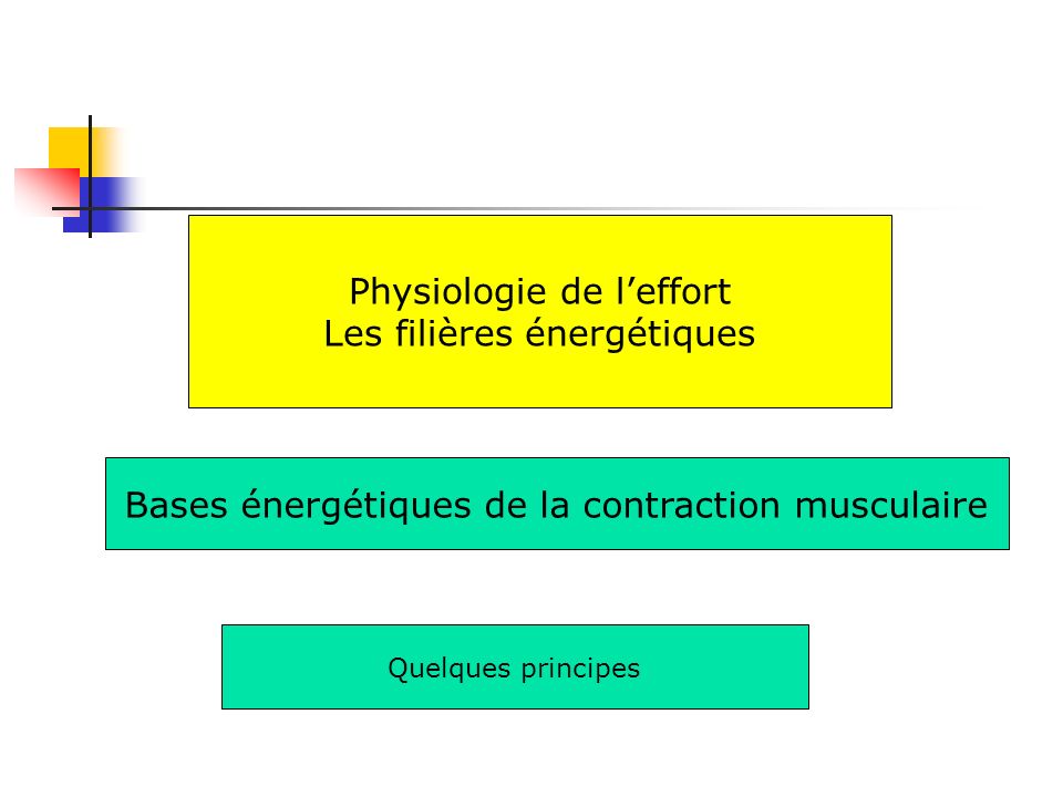 Physiologie de l’effort Les filières énergétiques