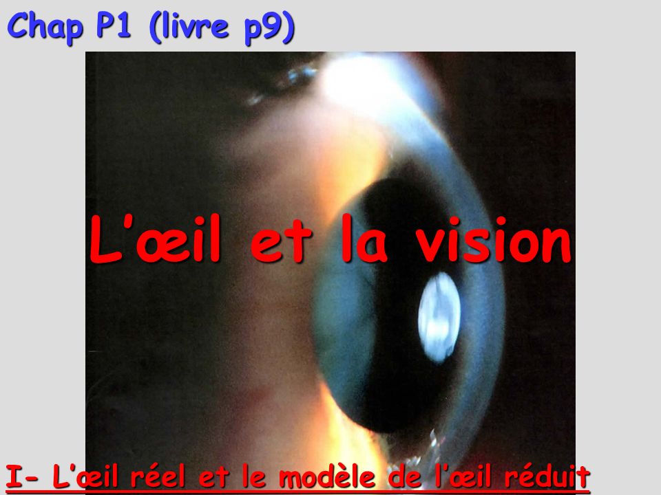 L’œil et la vision Chap P1 (livre p9)