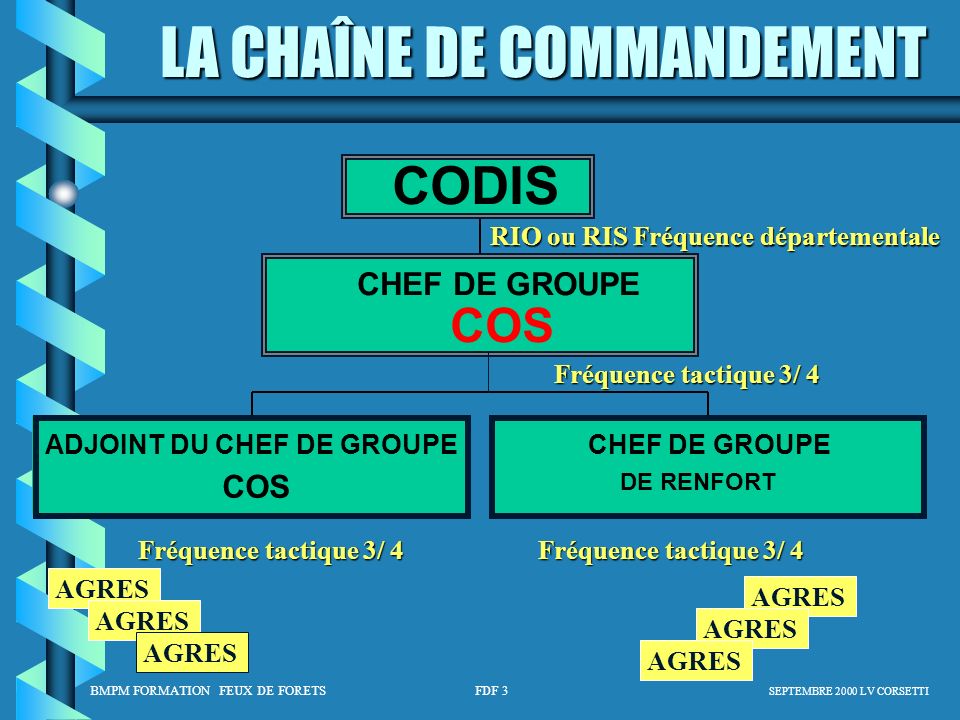 CODIS COS ADJOINT DU CHEF DE GROUPE CHEF DE GROUPE AGRES
