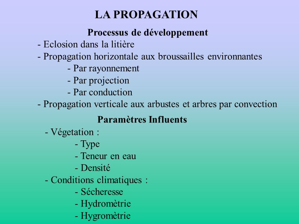 LA PROPAGATION Processus de développement - Eclosion dans la litière