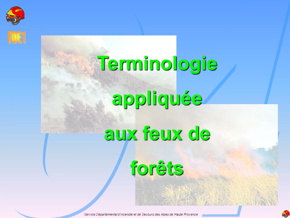 Terminologie appliquée aux feux de forêts