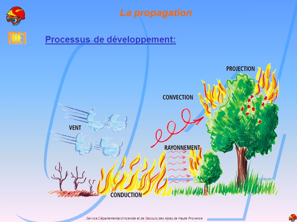 La propagation Processus de développement: