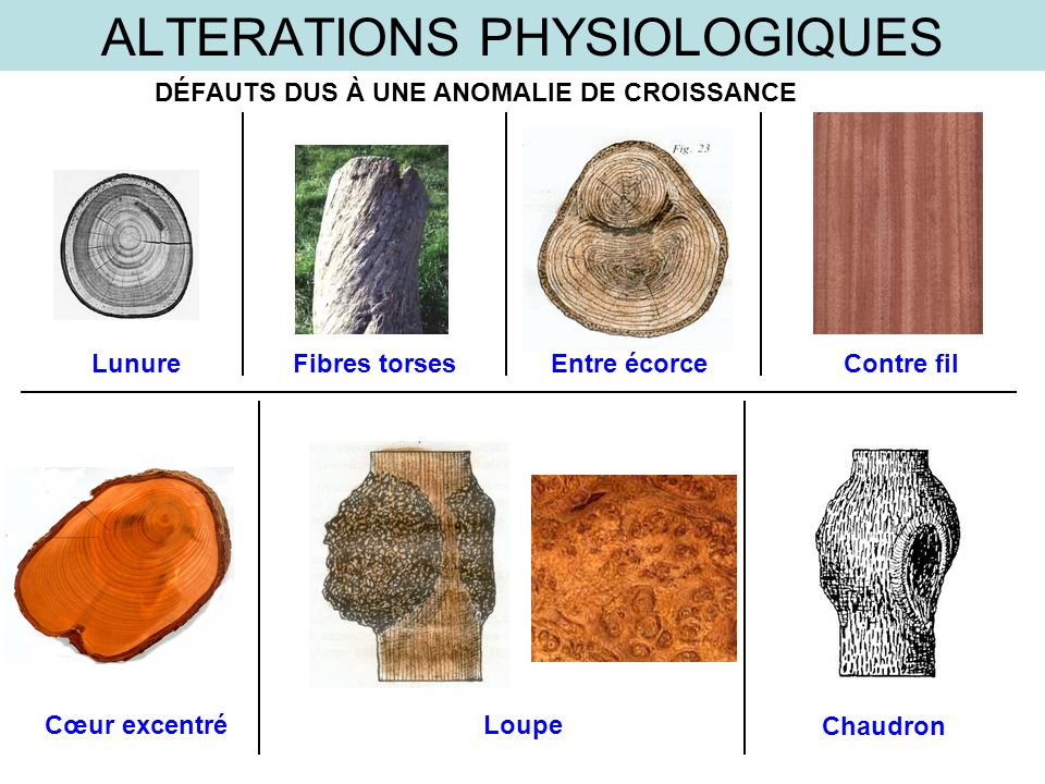ALTERATIONS PHYSIOLOGIQUES