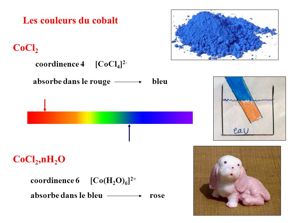 Les couleurs du cobalt CoCl2 CoCl2,nH2O coordinence 4 [CoCl4]2-