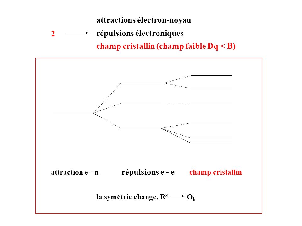 attractions électron-noyau répulsions électroniques