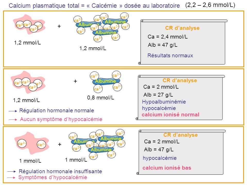 Calcium plasmatique total = « Calcémie » dosée au laboratoire
