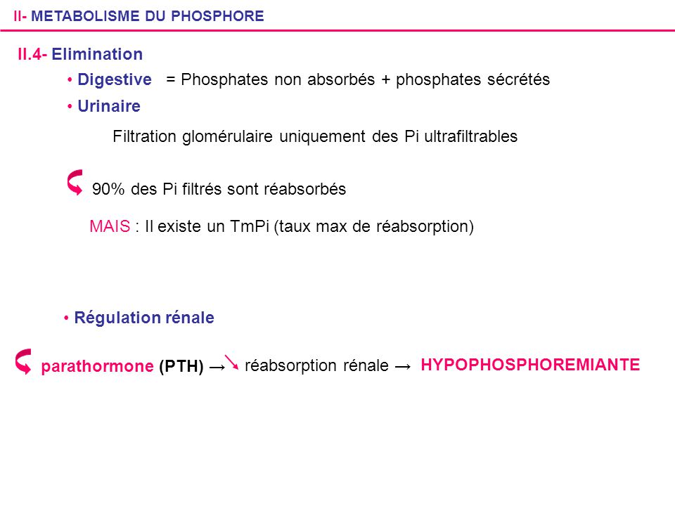 = Phosphates non absorbés + phosphates sécrétés