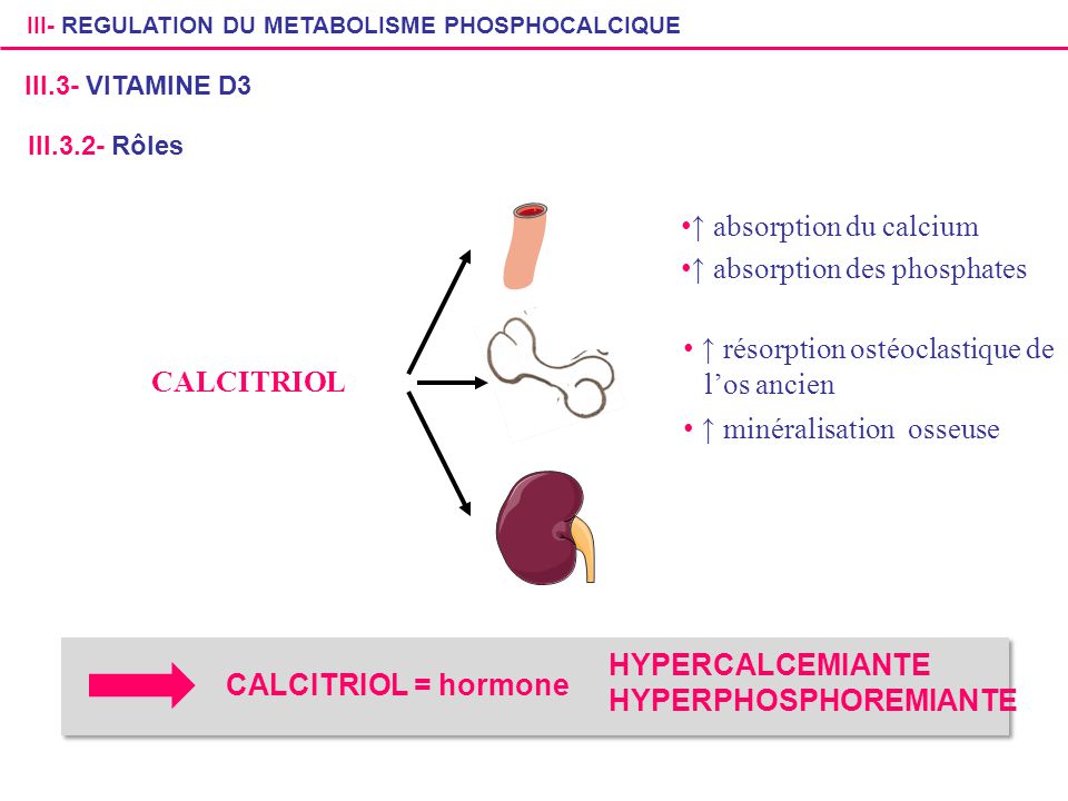 ↑ absorption du calcium ↑ absorption des phosphates