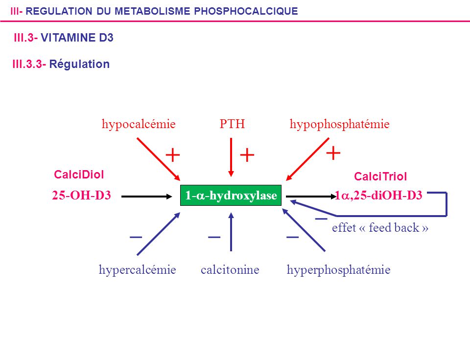 + + + _ _ _ _ hypocalcémie PTH hypophosphatémie 25-OH-D3