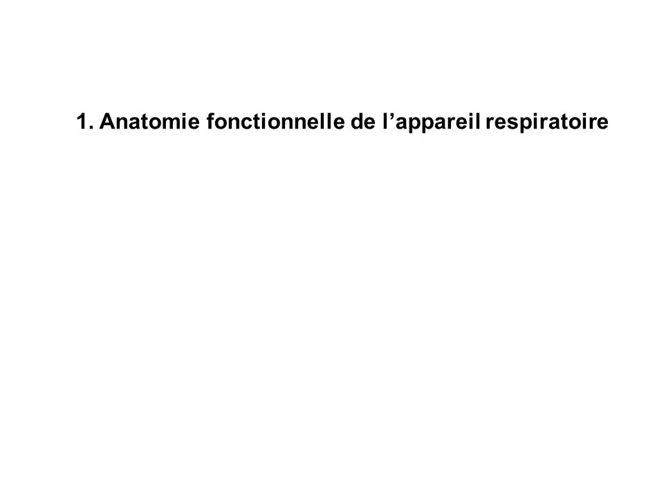 1. Anatomie fonctionnelle de l’appareil respiratoire