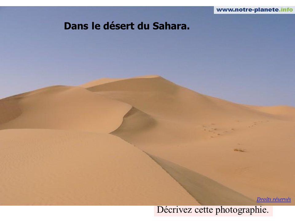 Dans le désert du Sahara.
