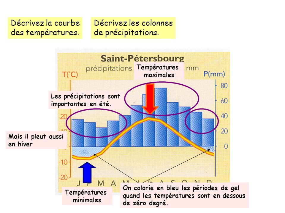 Décrivez la courbe des températures. Décrivez les colonnes