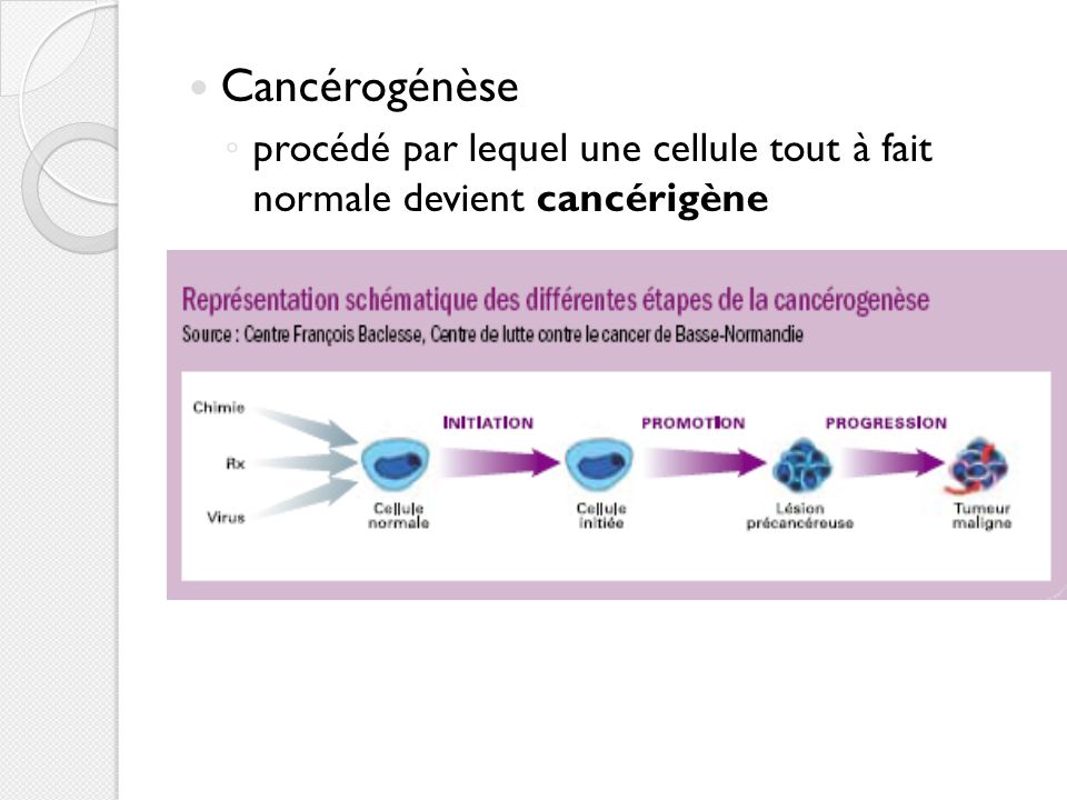 Cancérogénèse procédé par lequel une cellule tout à fait normale devient cancérigène