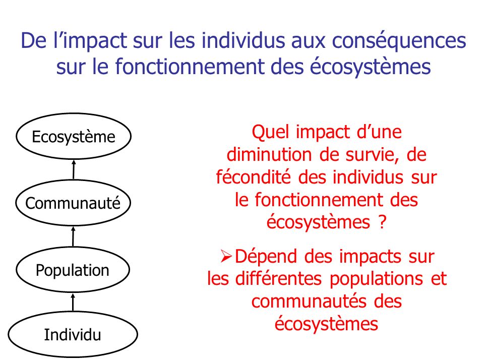 De l’impact sur les individus aux conséquences sur le fonctionnement des écosystèmes