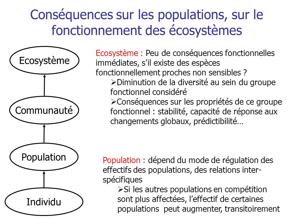 Conséquences sur les populations, sur le fonctionnement des écosystèmes