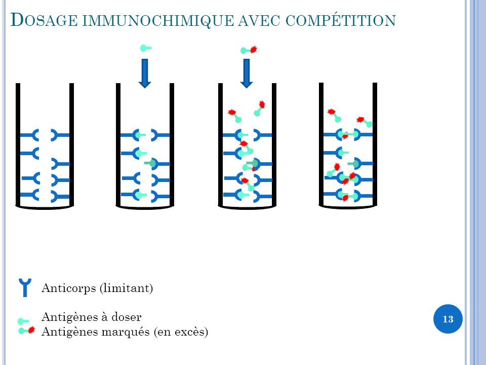 Dosage immunochimique avec compétition