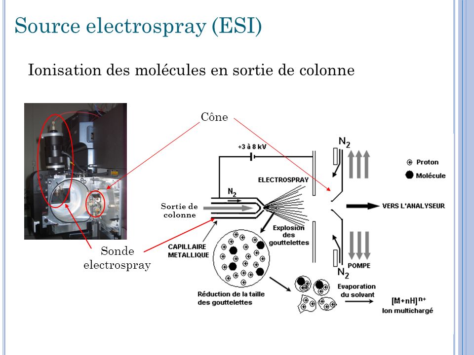 Source electrospray (ESI)