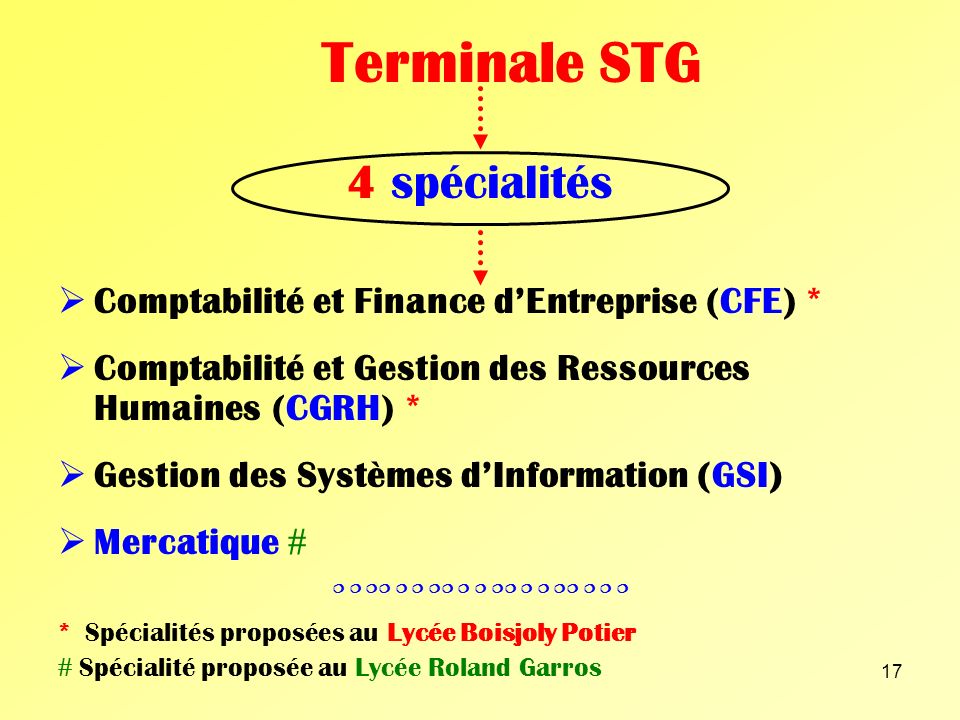 Terminale STG 4 spécialités