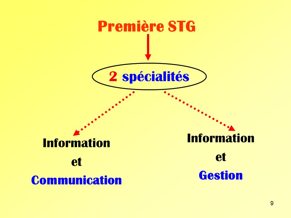 Première STG 2 spécialités Information Information et et Gestion