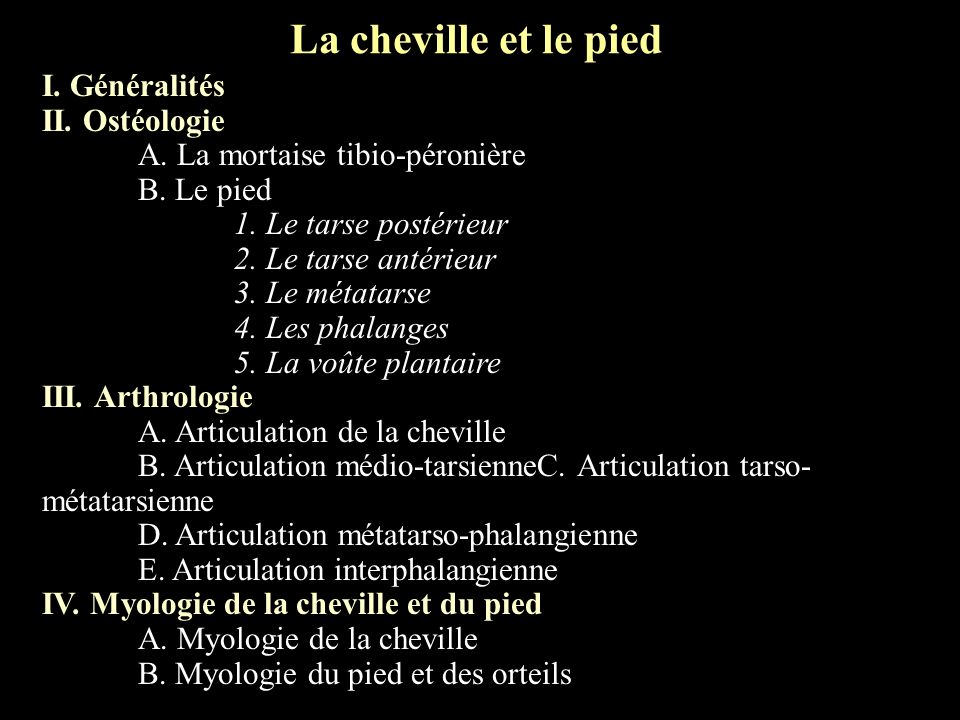 La cheville et le pied I. Généralités II. Ostéologie