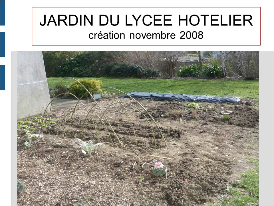 JARDIN DU LYCEE HOTELIER création novembre 2008