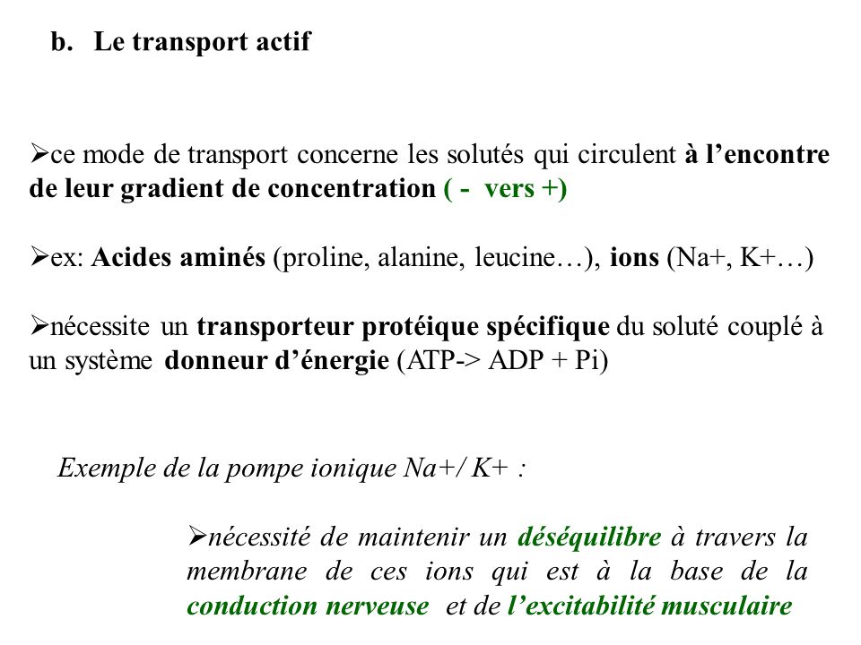 Le transport actif ce mode de transport concerne les solutés qui circulent à l’encontre de leur gradient de concentration ( - vers +)
