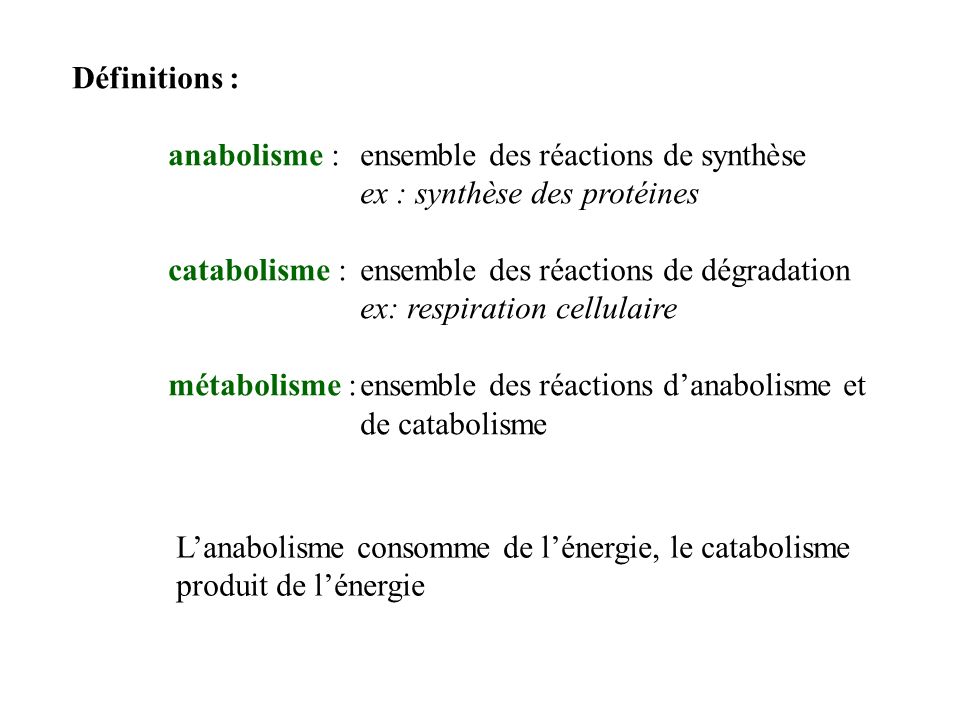Définitions : anabolisme : ensemble des réactions de synthèse. ex : synthèse des protéines. catabolisme : ensemble des réactions de dégradation.