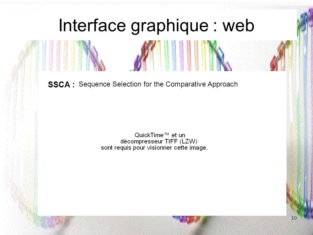 Interface graphique : web