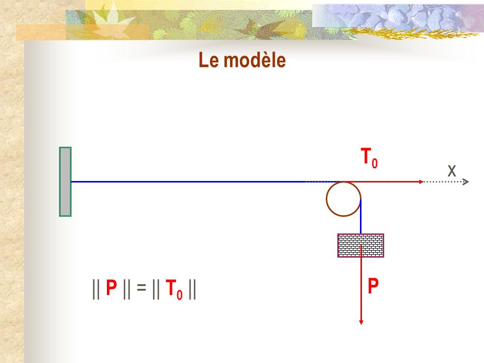 Le modèle T0 x P || P || = || T0 ||