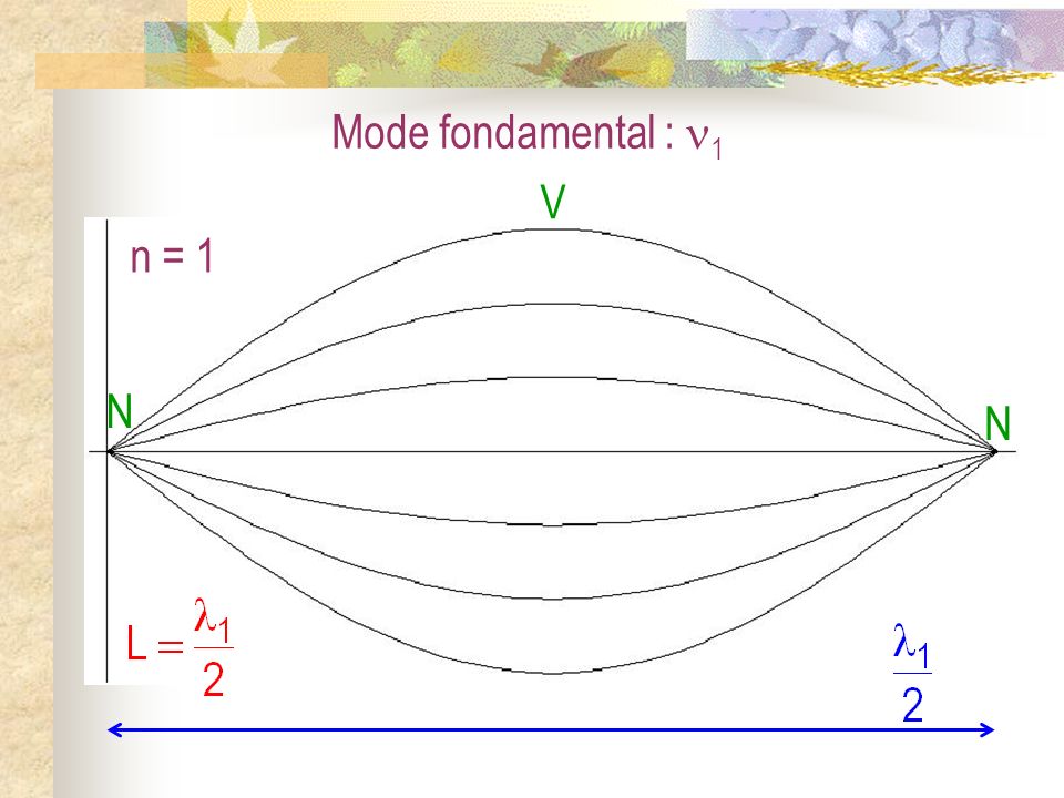Mode fondamental : 1 N V n = 1