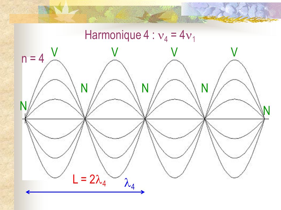 Harmonique 4 : 4 = 41 N V n = 4 4 L = 24
