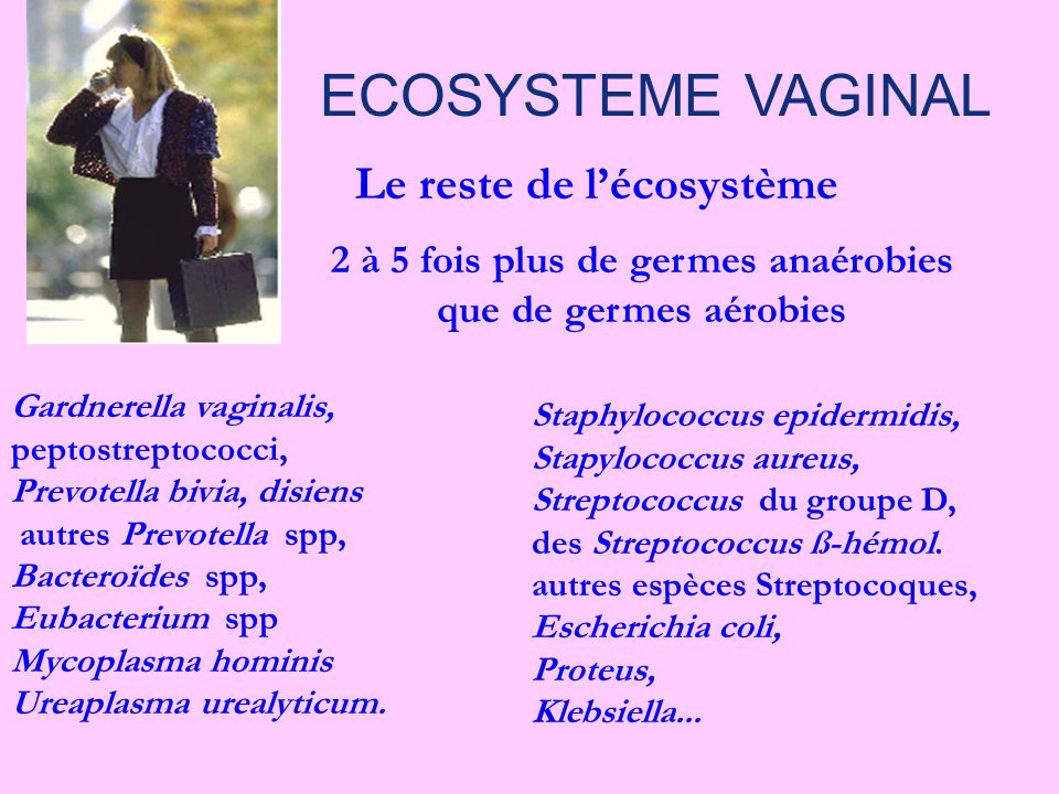 La vaginose bactérienne en 2006 » - ppt video online télécharger