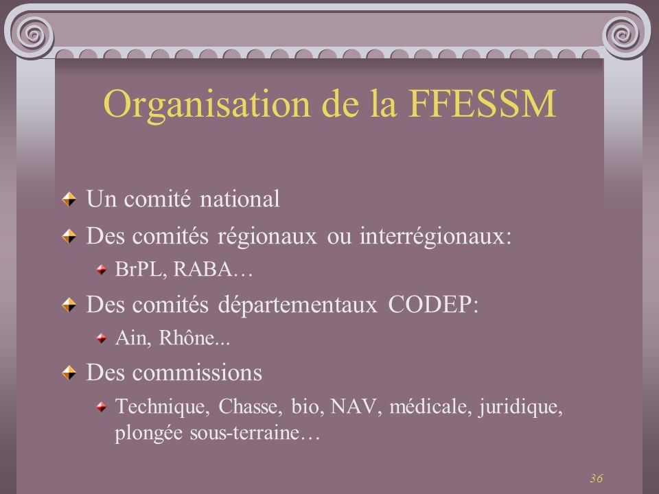 Organisation de la FFESSM