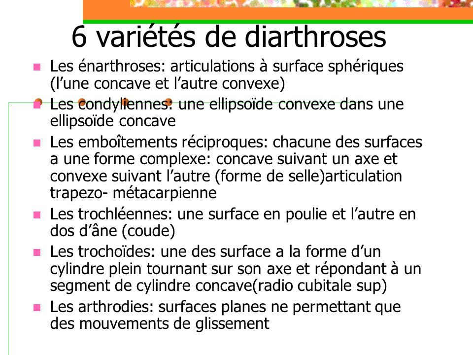 6 variétés de diarthroses