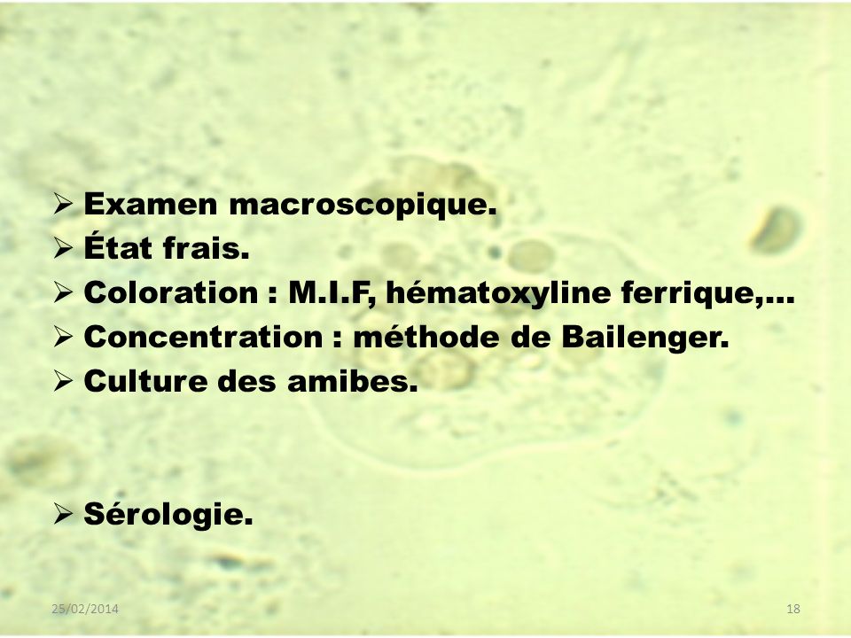Coloration : M.I.F, hématoxyline ferrique,…