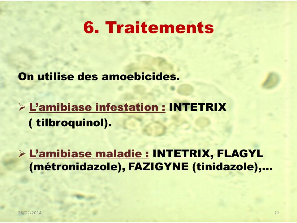6. Traitements On utilise des amoebicides.