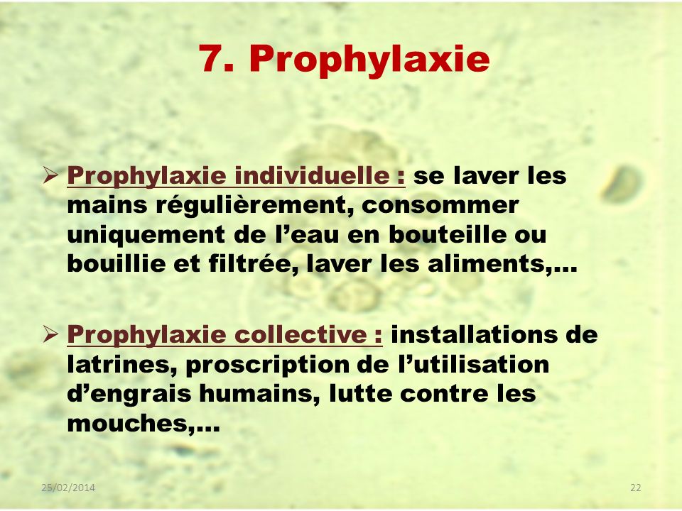 7. Prophylaxie