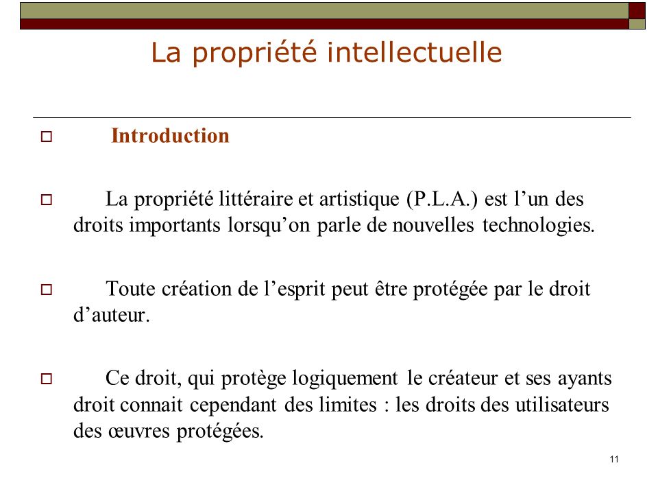 Introduction La propriété littéraire et artistique (P.L.A.) est l’un des droits importants lorsqu’on parle de nouvelles technologies.