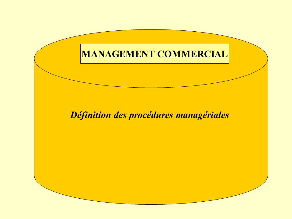 MANAGEMENT COMMERCIAL Définition des procédures managériales