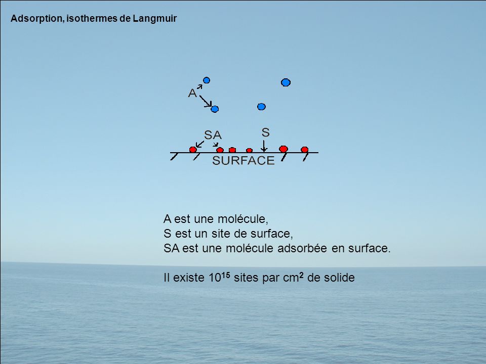 SA est une molécule adsorbée en surface.