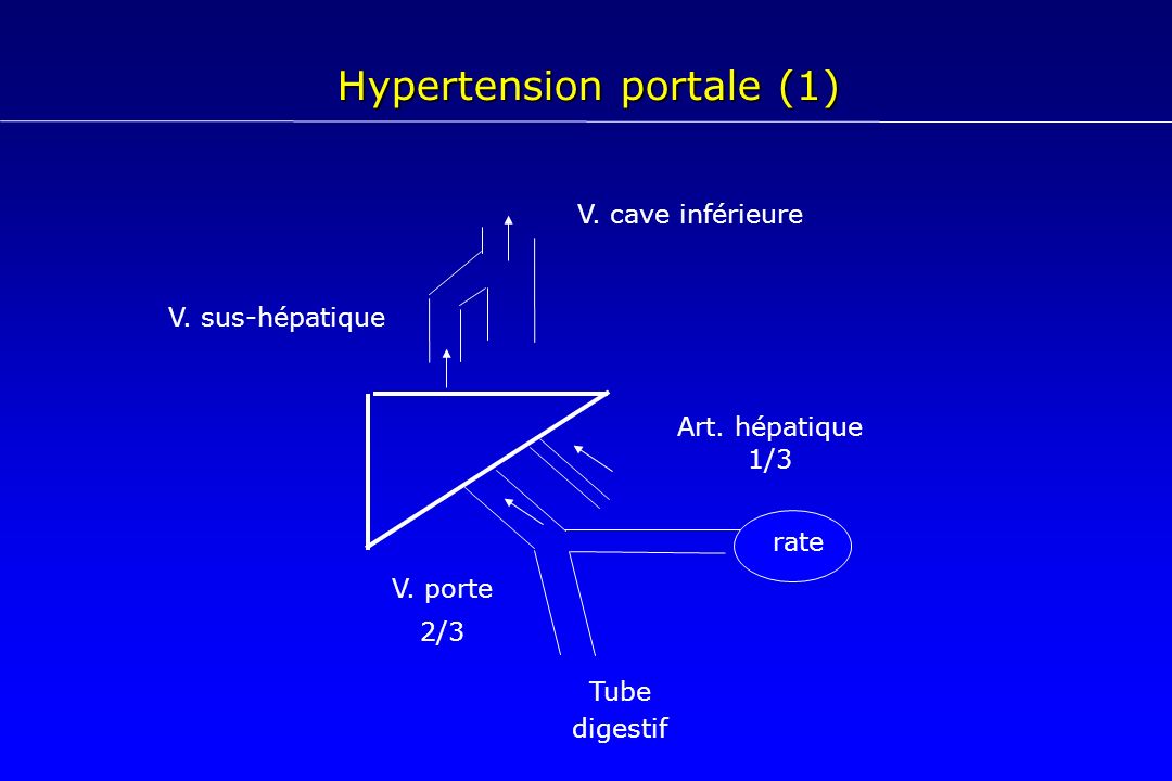 Hypertension portale (1)