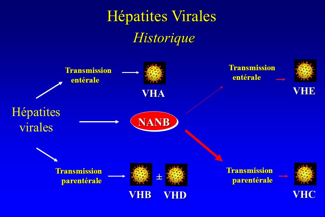 Historique Hépatites Virales Hépatites virales NANB VHE VHA ± VHB VHD