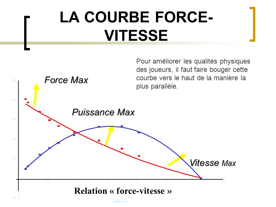 LA COURBE FORCE-VITESSE