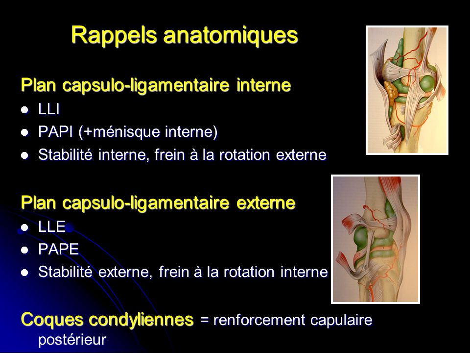 Rappels anatomiques Plan capsulo-ligamentaire interne