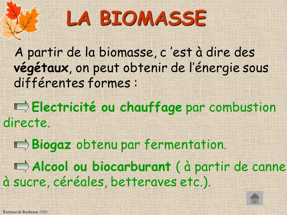 LA BIOMASSE A partir de la biomasse, c ’est à dire des végétaux, on peut obtenir de l’énergie sous différentes formes :